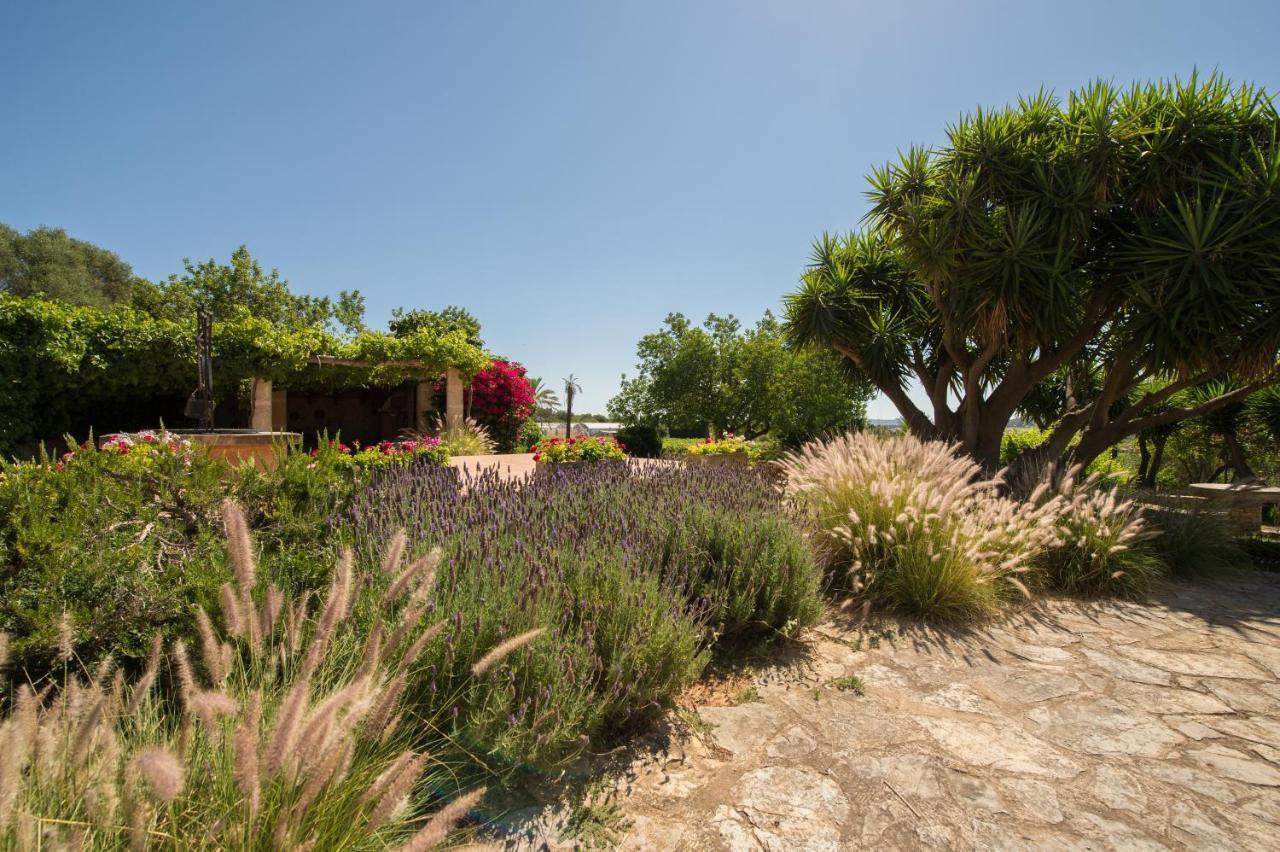Feliu Landhuis